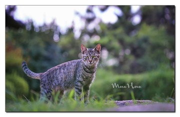 DSC07357_DXO