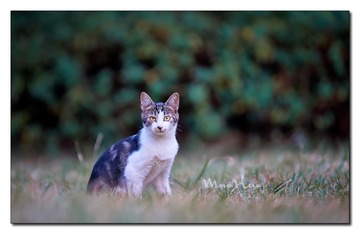 DSC07381_DXO