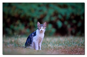 DSC07382_DXO