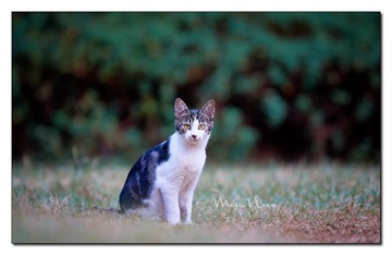 DSC07383_DXO