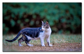 DSC07384_DXO