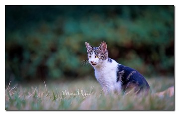 DSC07389_DXO