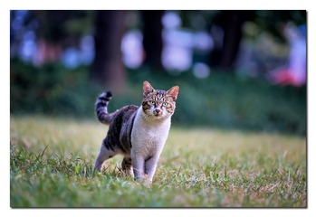 DSC07400_DXO