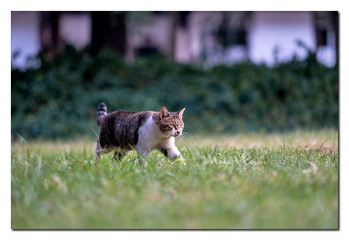 DSC07395_DXO