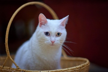 DSC00851_DXO
