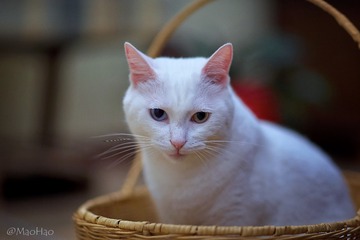 DSC00853_DXO