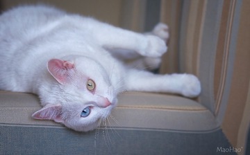 DSC07536_DXO