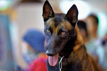 DSC06949_DXO