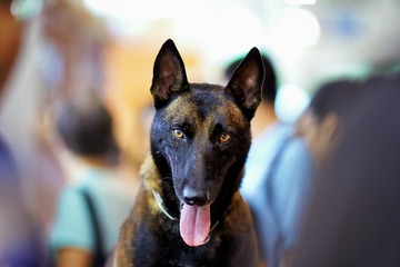 DSC06963_DXO