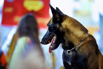 DSC06969_DXO