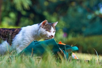 DSC07417_DXO