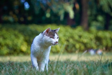 DSC07414_DXO