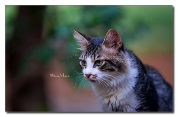 DSC06517_DXO