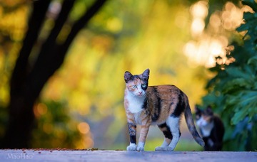 DSC07212_DXO