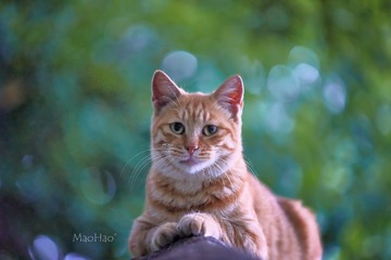 DSC08392_DXO