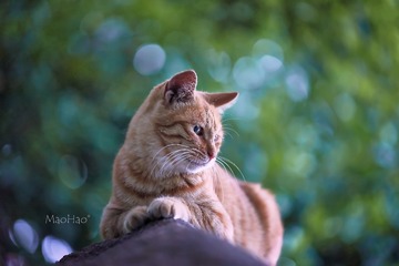 DSC08394_DXO