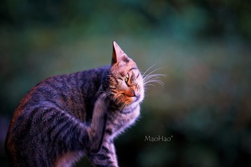 DSC07186_DXO