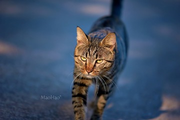 DSC07061_DXO