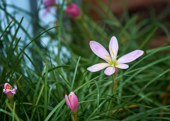 DSC03963_DXO