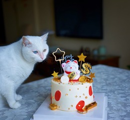 DSC02331_DXO