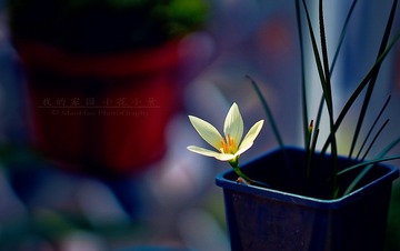 DSC02391_DXO