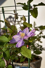 DSC03374_DXO