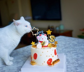 DSC02330_DXO
