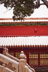 DSC04594