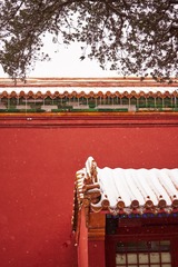 DSC04583