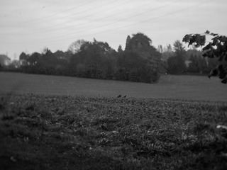 20141026-P1060716