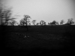 20141130-P1070093