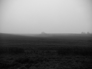 20141130-P1070107