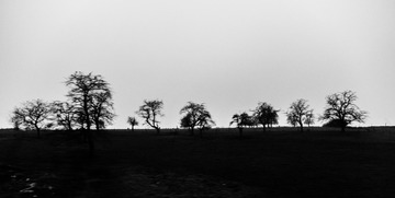 20141130-P1070094