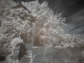 P1090193
