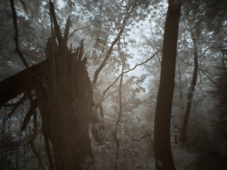 P1090234