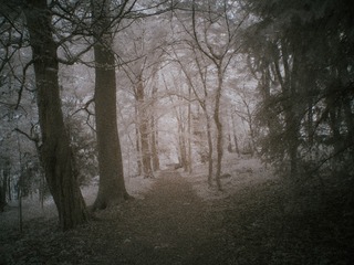 P1090239