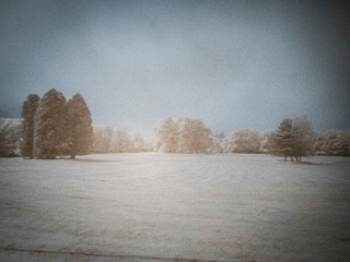 P1090244
