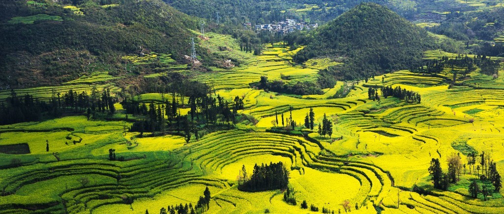 梯田?