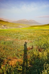 DSC02784-1-1