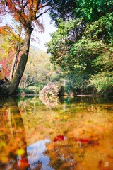 DSC06325-编辑-7