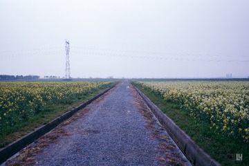 DSC00603-1-1
