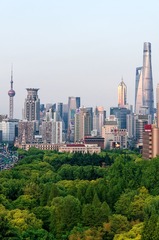 上海高度