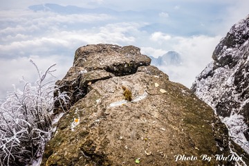 IMG_8934-HDR