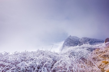 IMG_9087-HDR