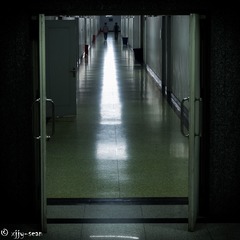 _IMG4853