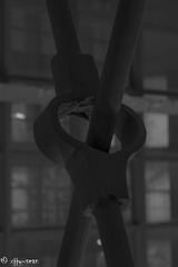 _IMG4864