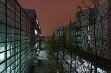 _IMG4866