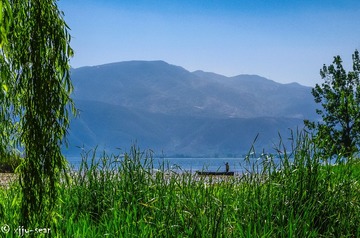 _IMG5039