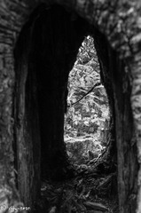 _IMG5358