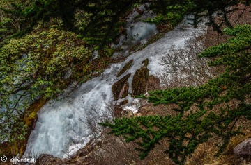 _IMG5416